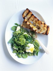 crushed broad bean, feta and mint dip