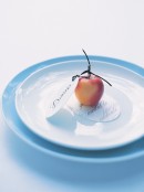 nature’s table